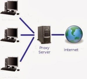 Op Zoek Naar Informatie Over Wat Een Proxy Server Inhoud En Wat De Verschillen Zijn?